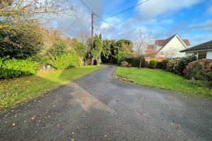 Photo 16- click for photo gallery